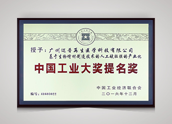 中國工業(yè)大獎提名獎