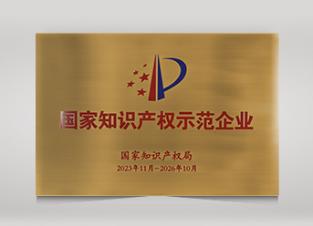 國家知識產(chǎn)權(quán)示范企業(yè)