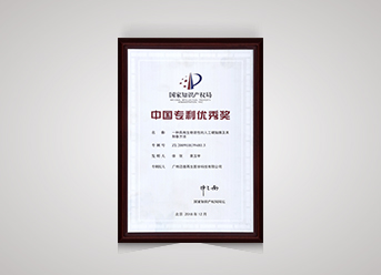 中國專利優(yōu)秀獎